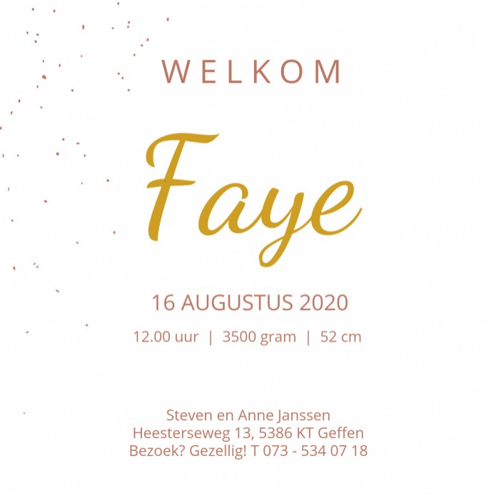 Faye | F O L I E binnen