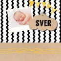 Geboortekaartje Sver voor