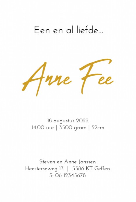 Anne Fee | F O L I E achter