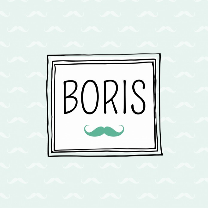 Geboortekaartje Boris voor