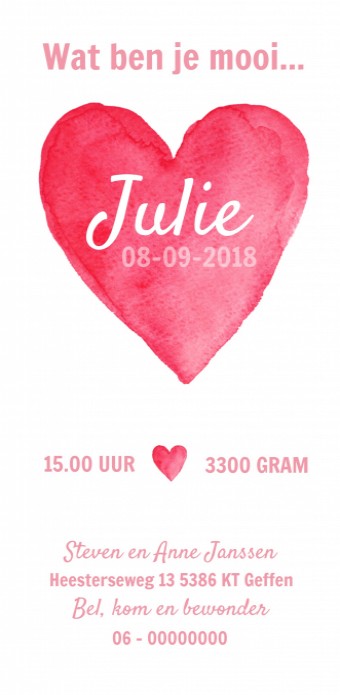 Geboortekaartje Julie achter