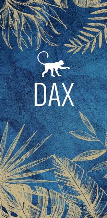 Geboortekaartje Dax voor