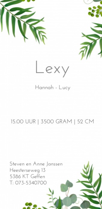 Geboortekaartje Lexy achter