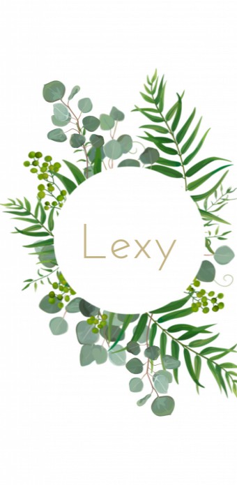 Geboortekaartje Lexy voor