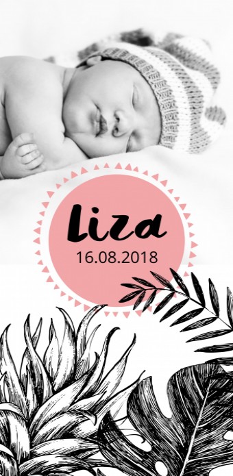 Geboortekaartje Liza voor