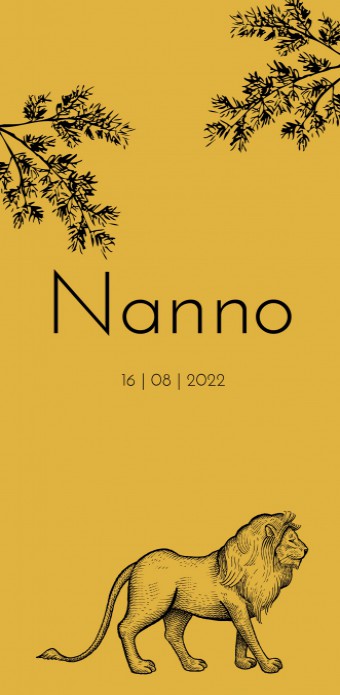 Geboortekaartje Nanno