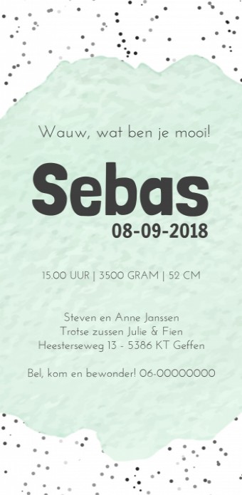 Geboortekaartje Sebas achter