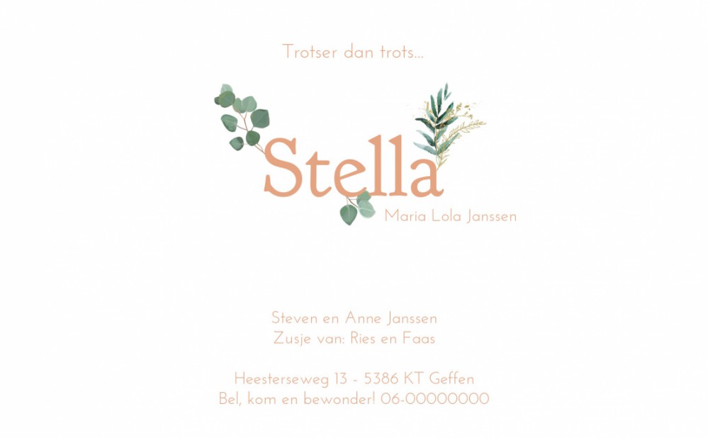 Stella| F O L I E achter