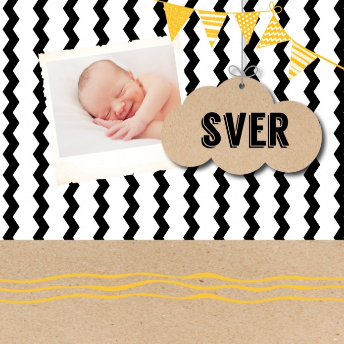 Geboortekaartje Sver voor