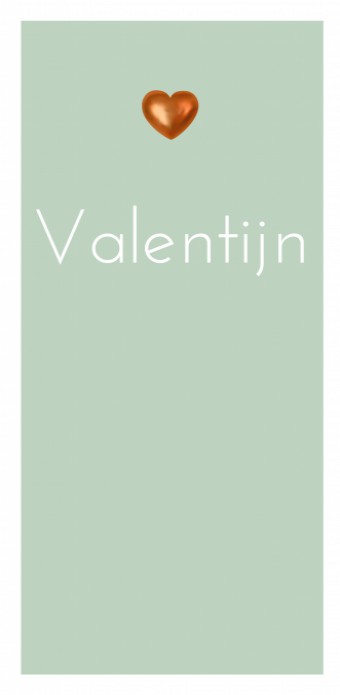 Geboortekaartje Valentijn voor