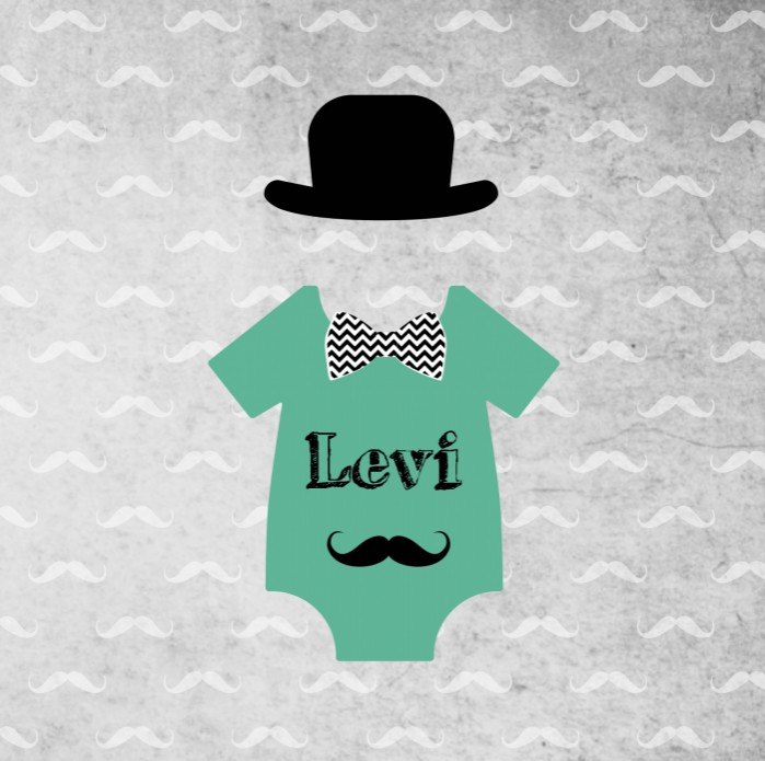 Geboortekaartje Levi voor