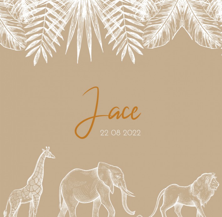 Jace | F O L I E voor