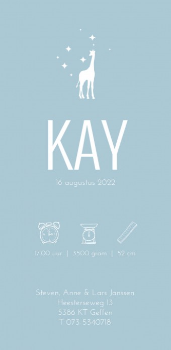 Kay | F O L I E achter