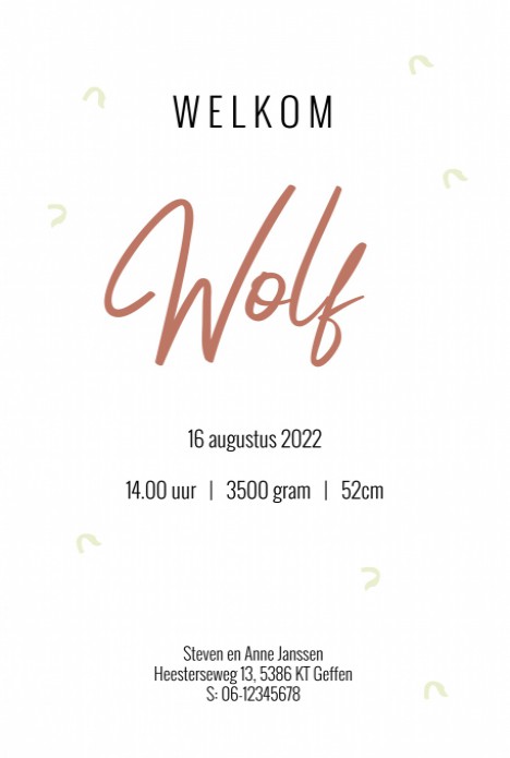 Wolf | F O L I E achter