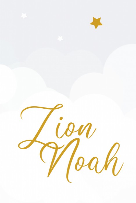 Zion Noah | F O L I E voor