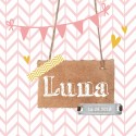 Geboortekaartje Luna voor