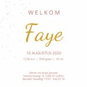 Faye | F O L I E binnen