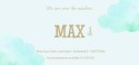 Geboortekaartje Max achter
