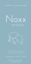 Geboortekaartje Noxx achter