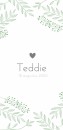 Geboortekaartje Teddie voor